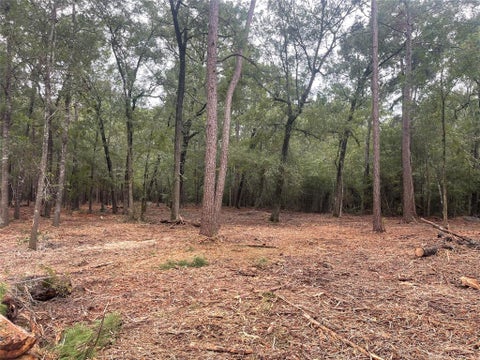 Vacant Land For Sale - TRACT B Mangum Road<br/> Livingston, TX 77351