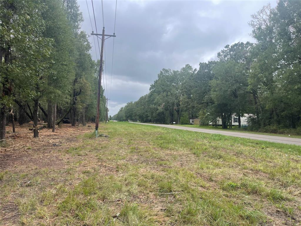 Tract B Mangum Road, Livingston, Texas image 5