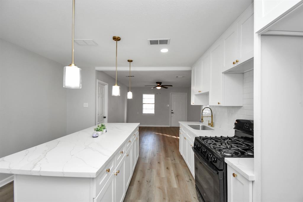 428 De Haven Street, Houston, Texas image 21