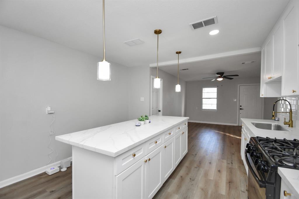 428 De Haven Street, Houston, Texas image 22