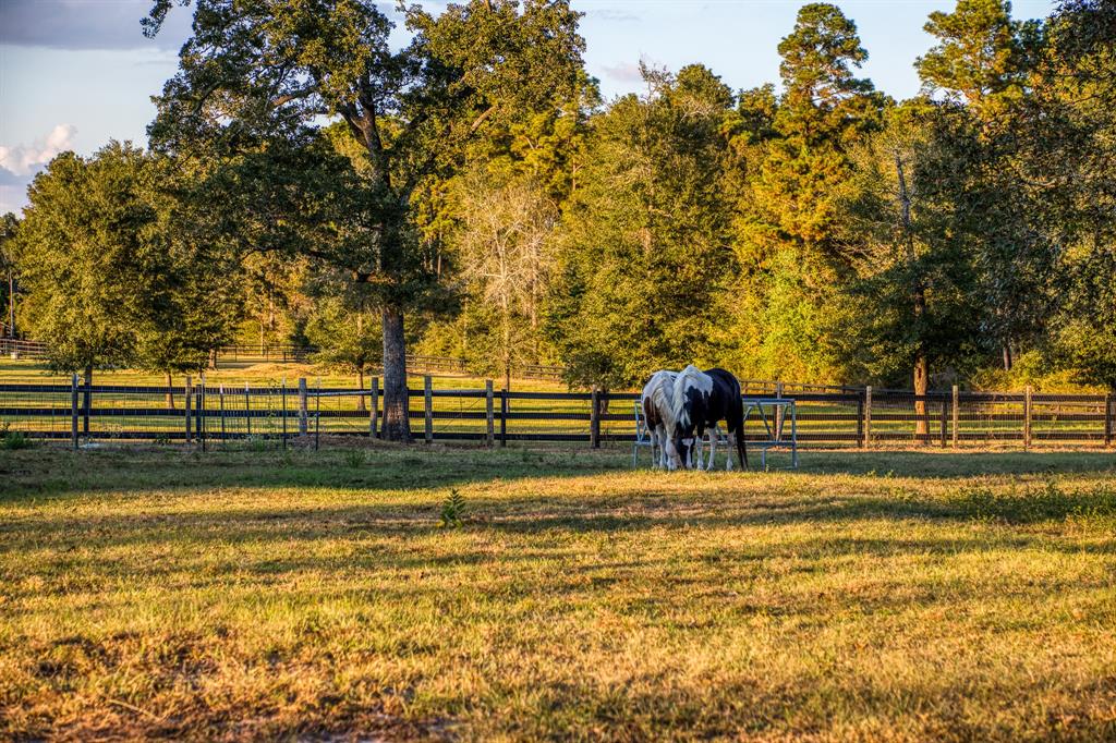 23192 Murrell Road, Hockley, Texas image 44