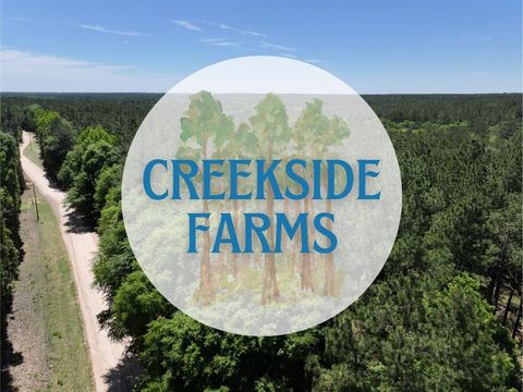 Vacant Land For Sale - Morris Lane<br/> Livingston, TX 77351