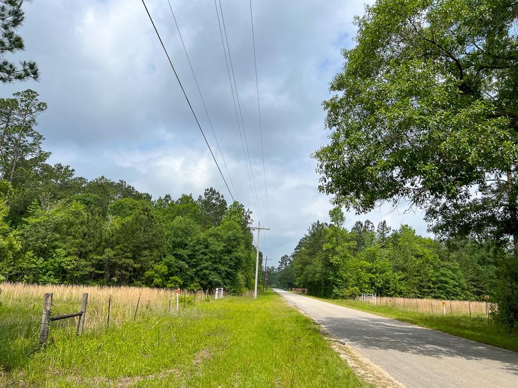 Elise Gore Lane, Silsbee, Texas image 2