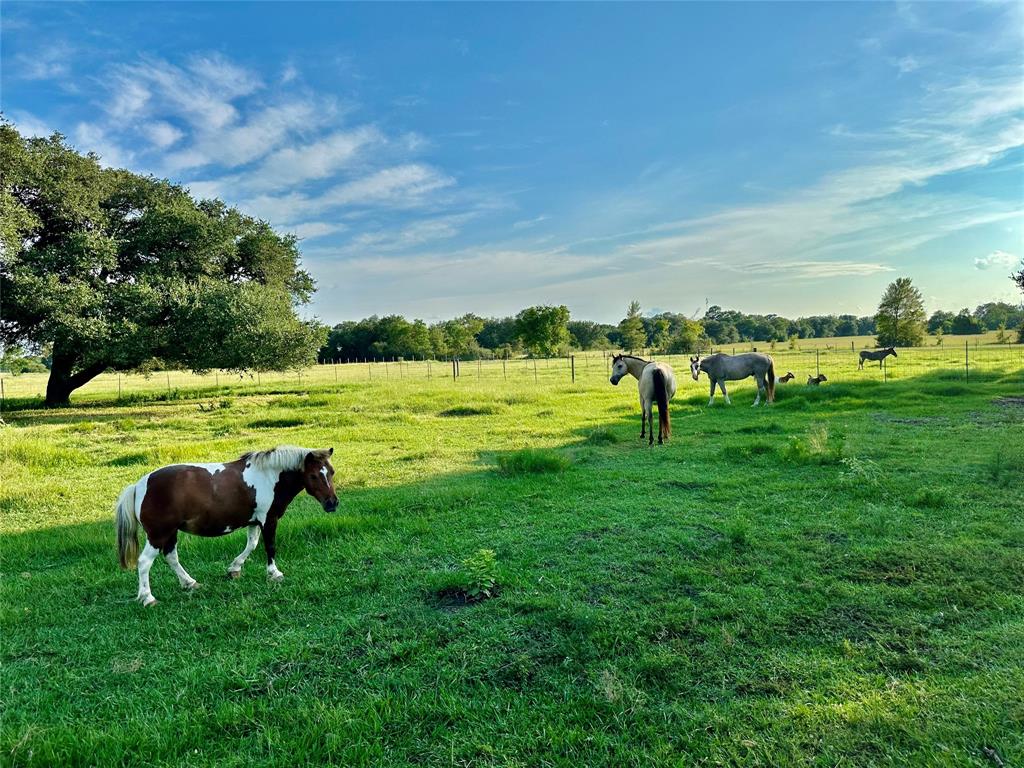 3571 County Road 106 Rd, Garwood, Texas image 4