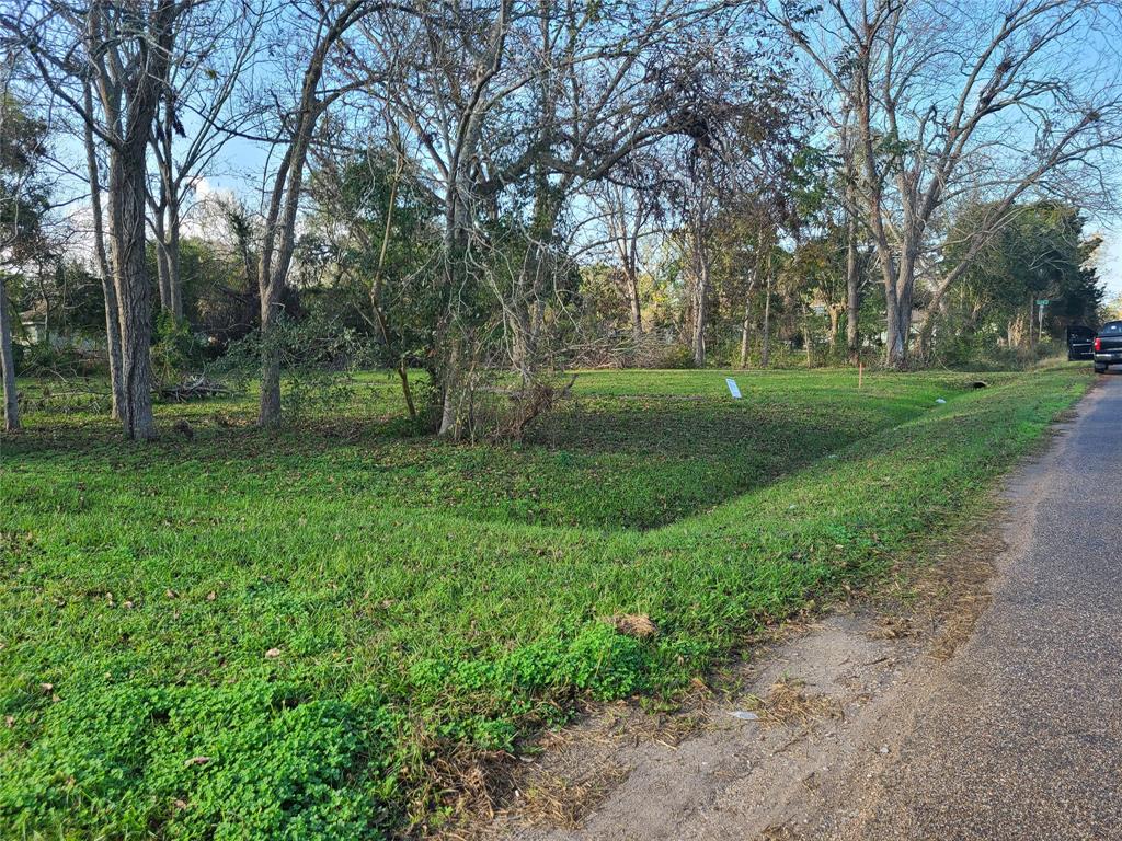 W Lobitt Street, Alvin, Texas image 4