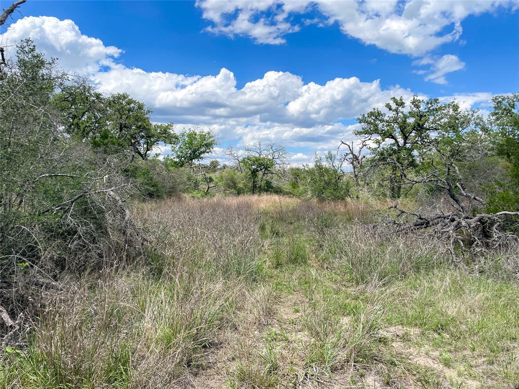 1414 Kothmann Drive, Seguin, Texas image 19