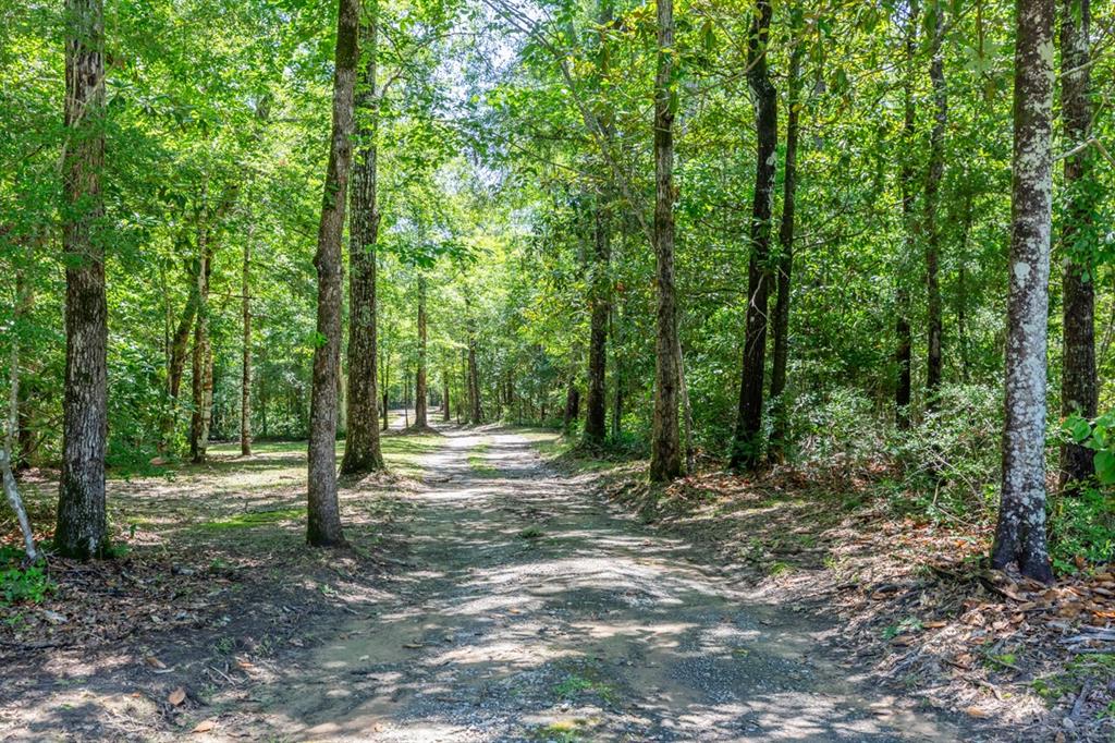 1905 Villa Rd Rd, Kountze, Texas image 3