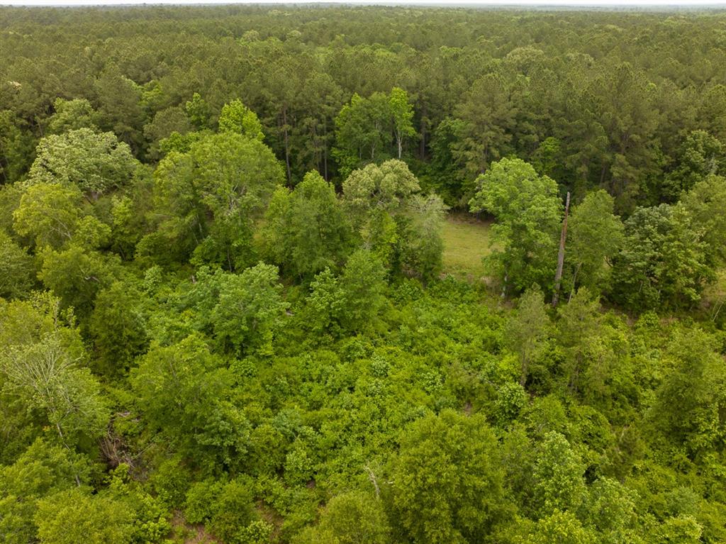 9388 Highway 105, Cleveland, Texas image 9