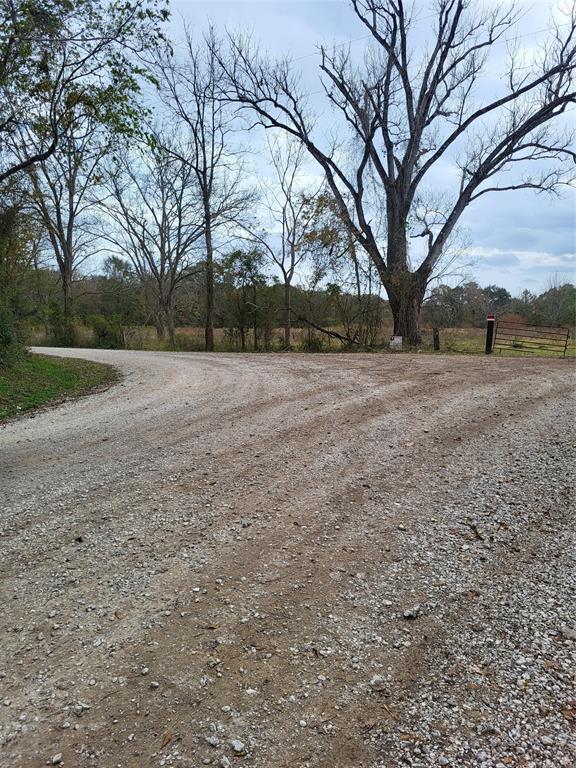 TBA Elmore Lp, Shepherd, Texas image 7