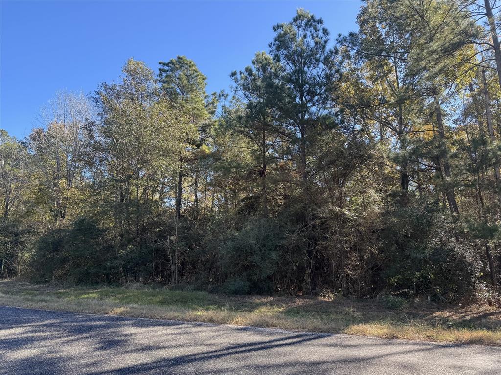 172 Grand View, Huntsville, Texas image 1