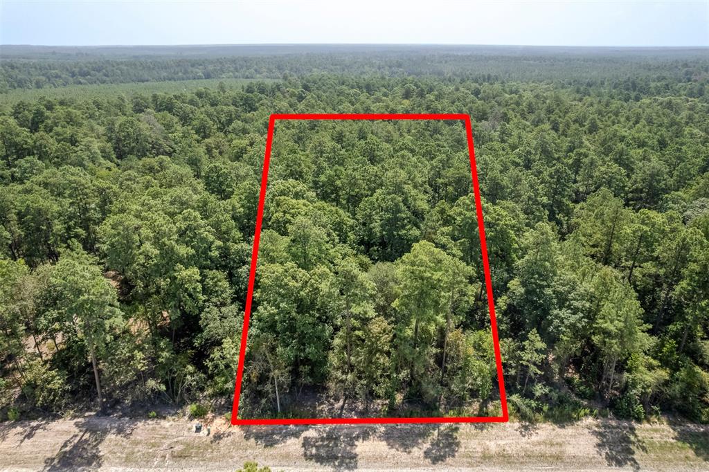 15868 Wood Grove Way, Willis, Texas image 4
