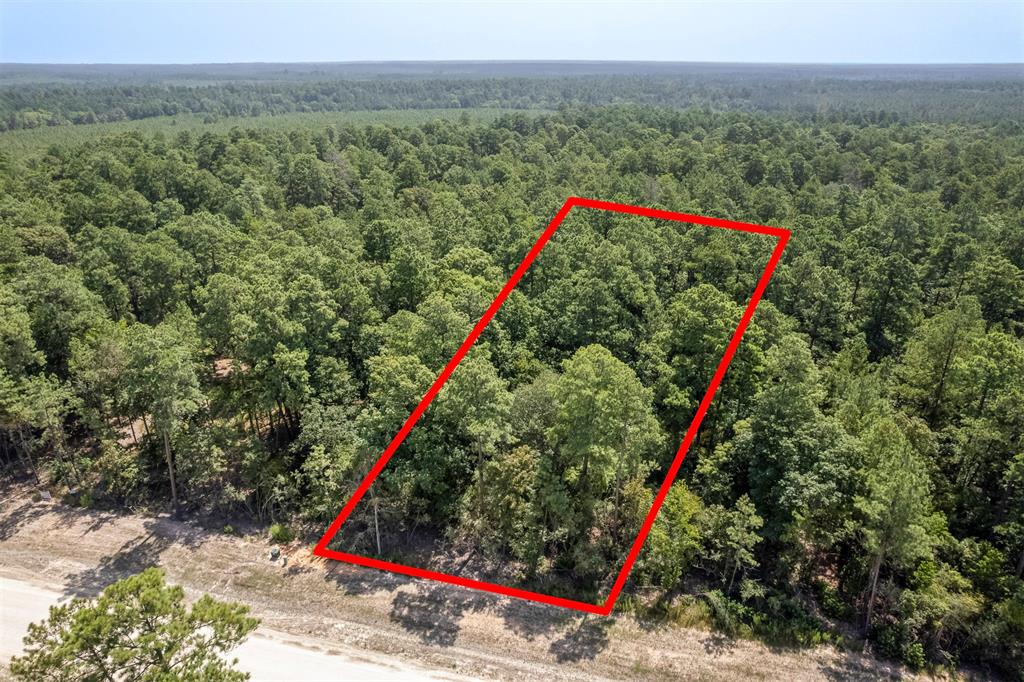 15868 Wood Grove Way, Willis, Texas image 6