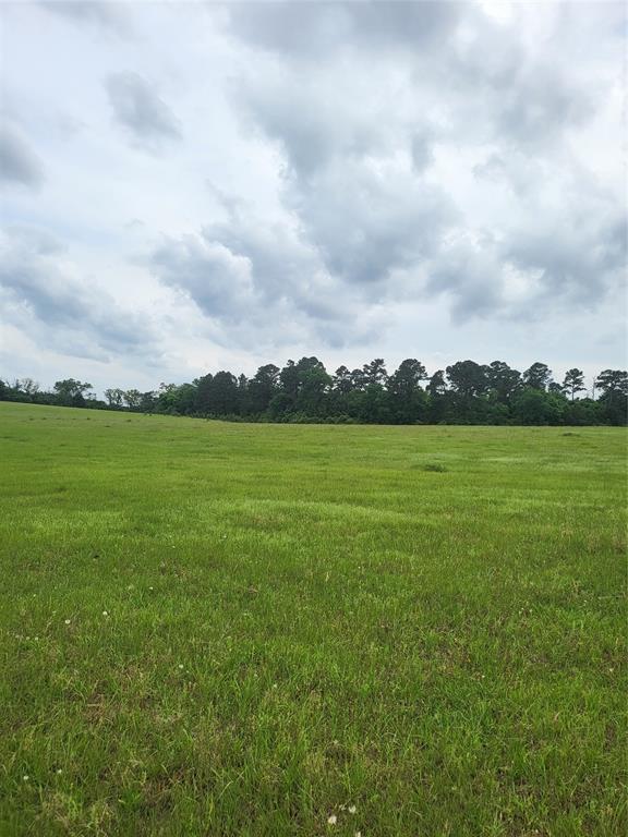 FM 227W TBD And Hayesspring, Grapeland, Texas image 9