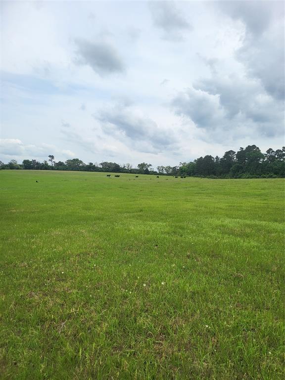 FM 227W TBD And Hayesspring, Grapeland, Texas image 12
