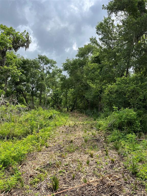 4227 County Road 347 Road, Brazoria, Texas image 18
