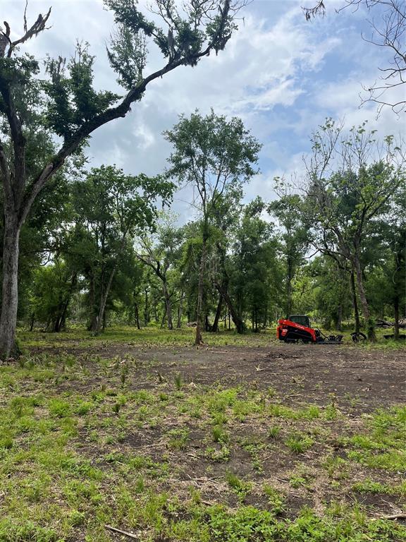 4227 County Road 347 Road, Brazoria, Texas image 15