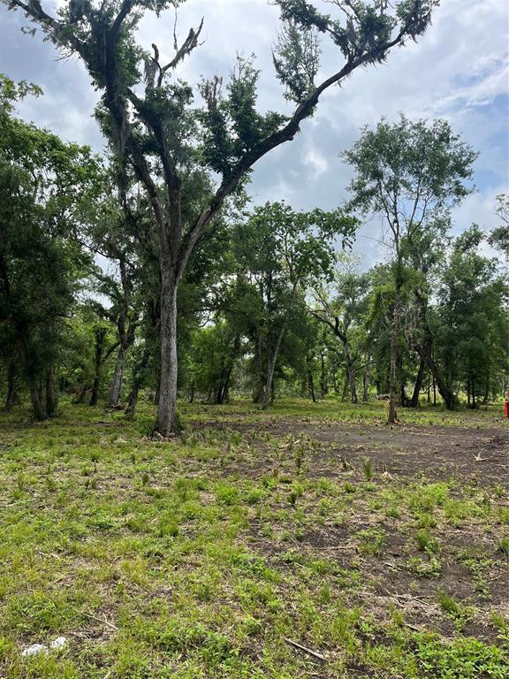 4227 County Road 347 Road, Brazoria, Texas image 1