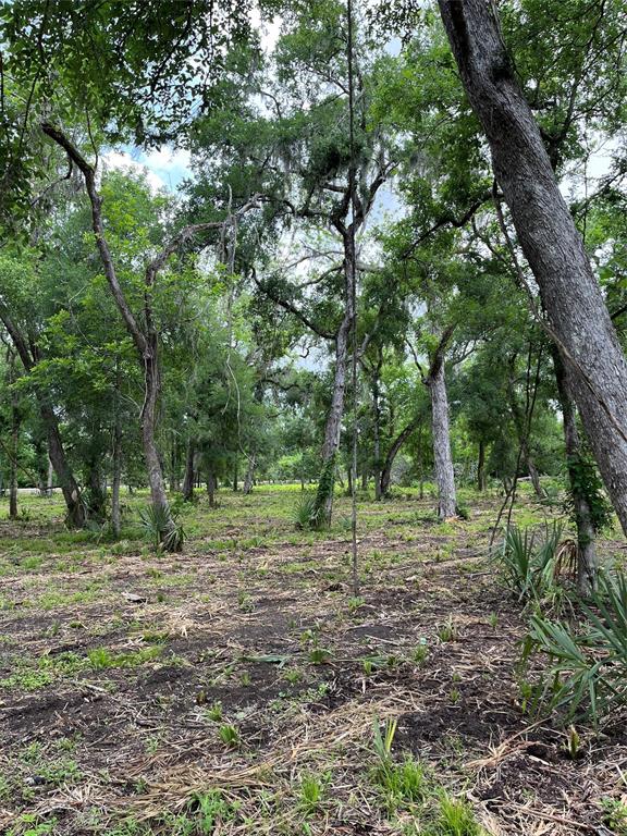 4227 County Road 347 Road, Brazoria, Texas image 13