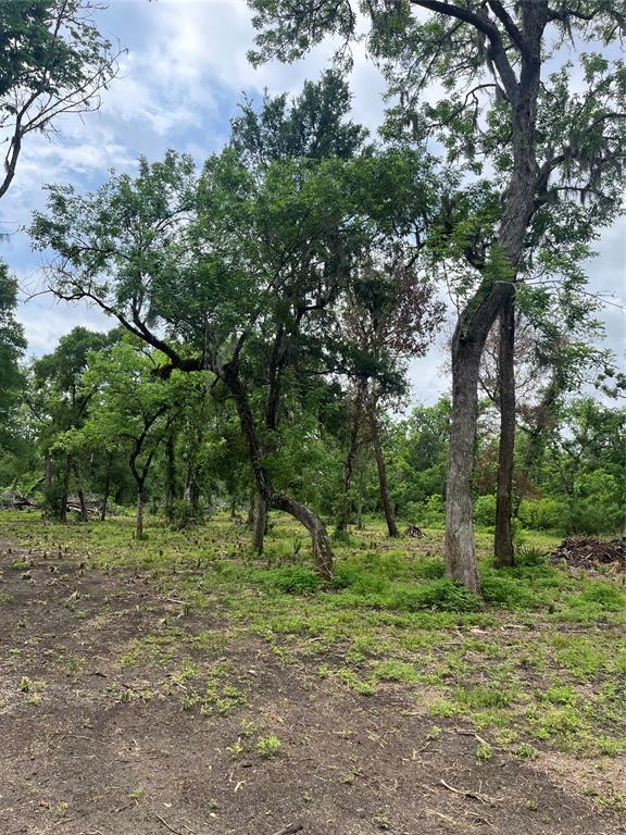 4227 County Road 347 Road, Brazoria, Texas image 14