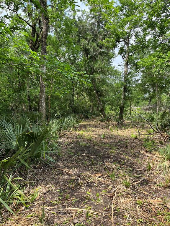 4227 County Road 347 Road, Brazoria, Texas image 17