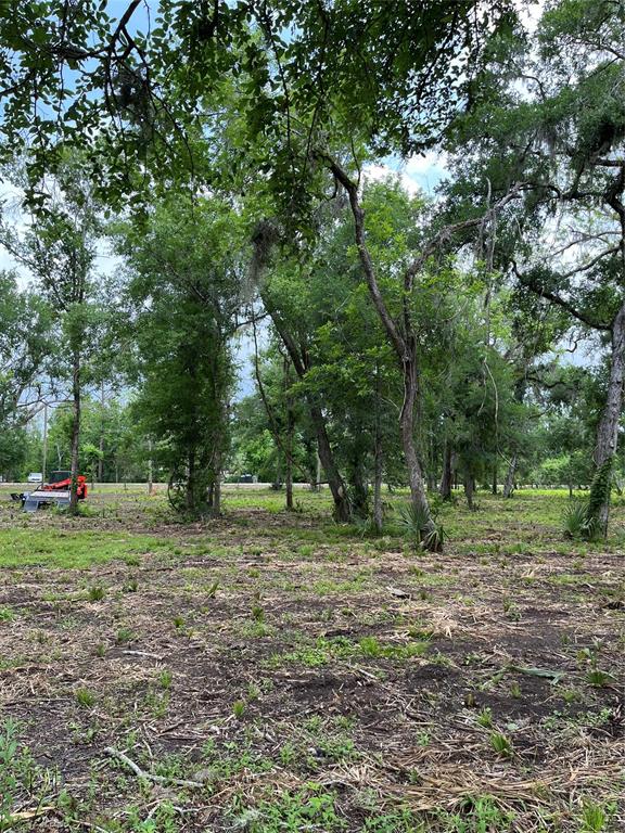 4227 County Road 347 Road, Brazoria, Texas image 2