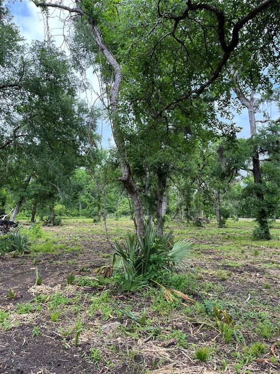 4227 County Road 347 Road, Brazoria, Texas image 16