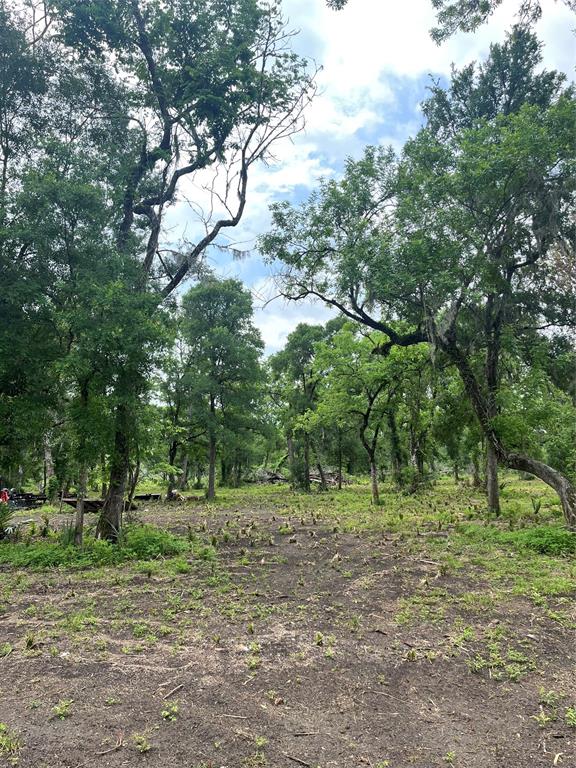 4227 County Road 347 Road, Brazoria, Texas image 4