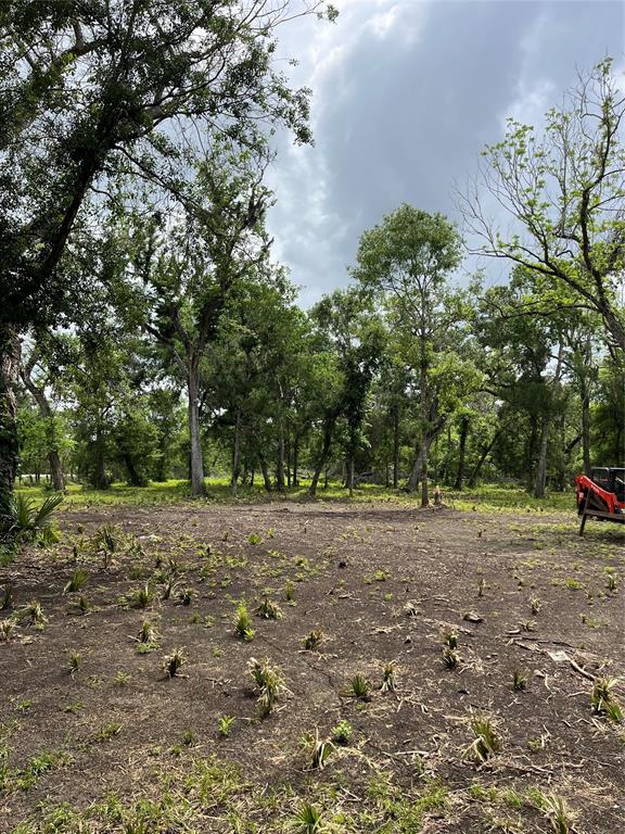 4227 County Road 347 Road, Brazoria, Texas image 3