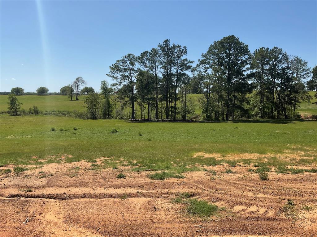 TBD Lakeland Ranch Sec 1, Blk 2, Lot 67, Hillister, Texas image 12