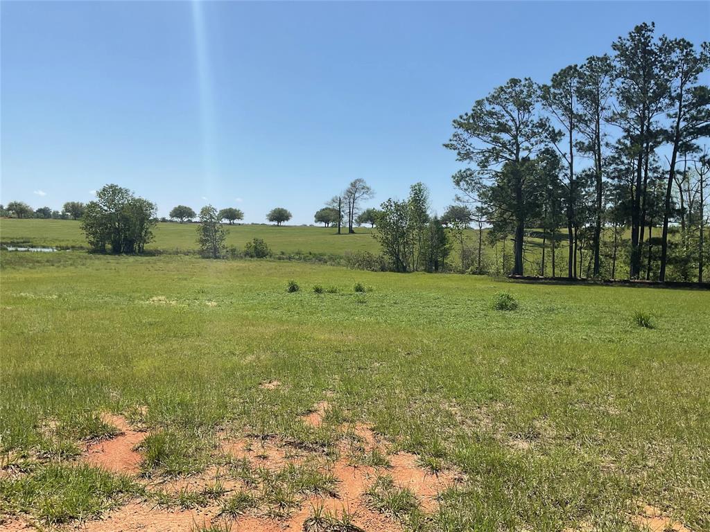 TBD Lakeland Ranch Sec 1, Blk 2, Lot 67, Hillister, Texas image 2