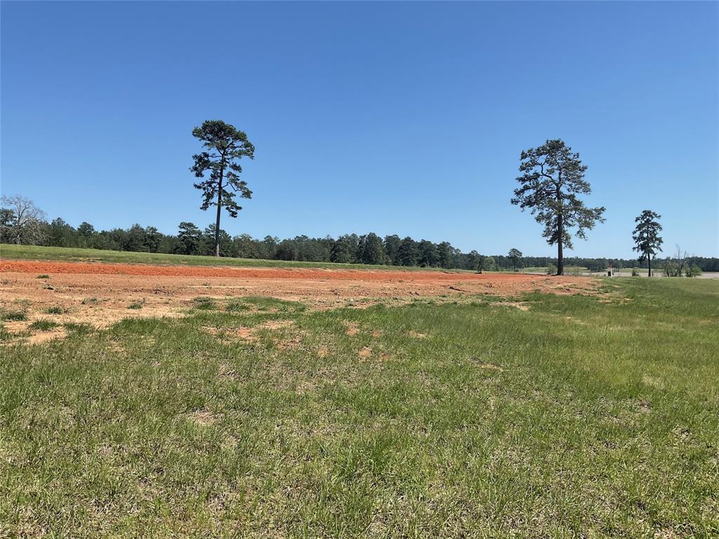 TBD Lakeland Ranch Sec 1, Blk 2, Lot 67, Hillister, Texas image 6