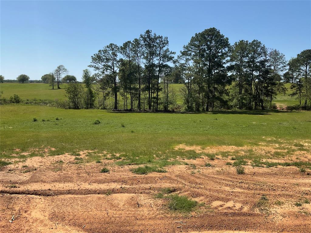 TBD Lakeland Ranch Sec 1, Blk 2, Lot 67, Hillister, Texas image 3