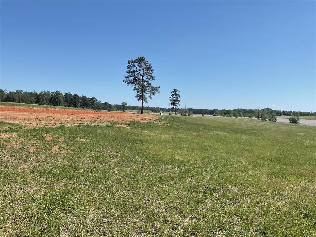 TBD Lakeland Ranch Sec 1, Blk 2, Lot 67, Hillister, Texas image 7