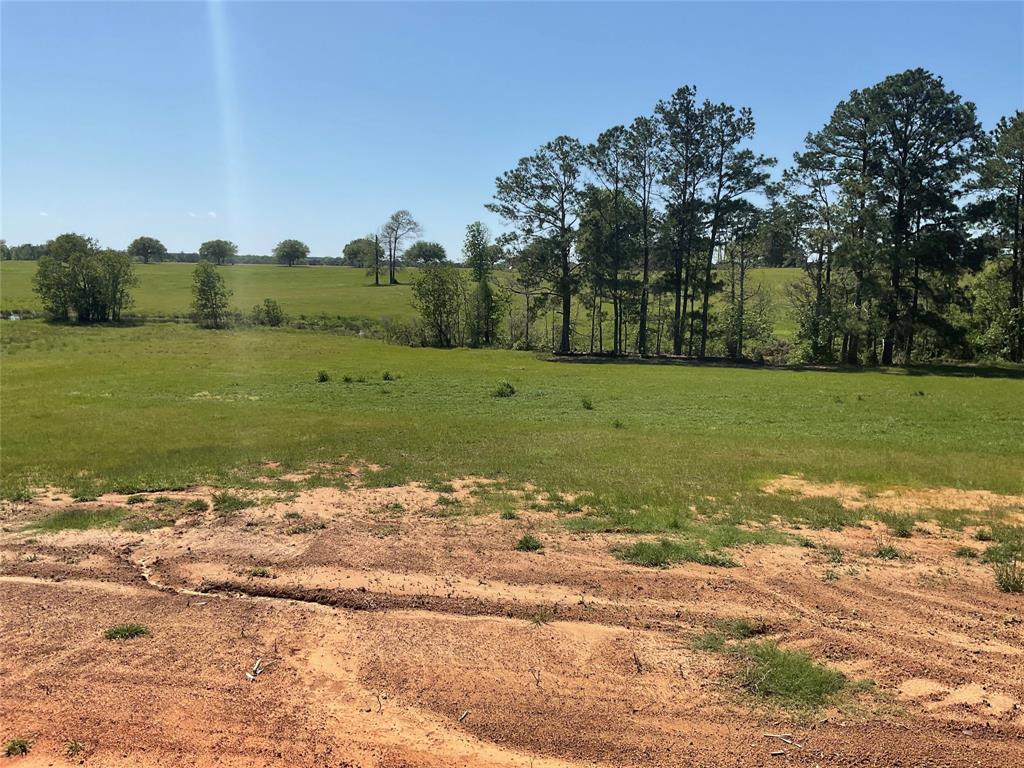 TBD Lakeland Ranch Sec 1, Blk 2, Lot 67, Hillister, Texas image 8