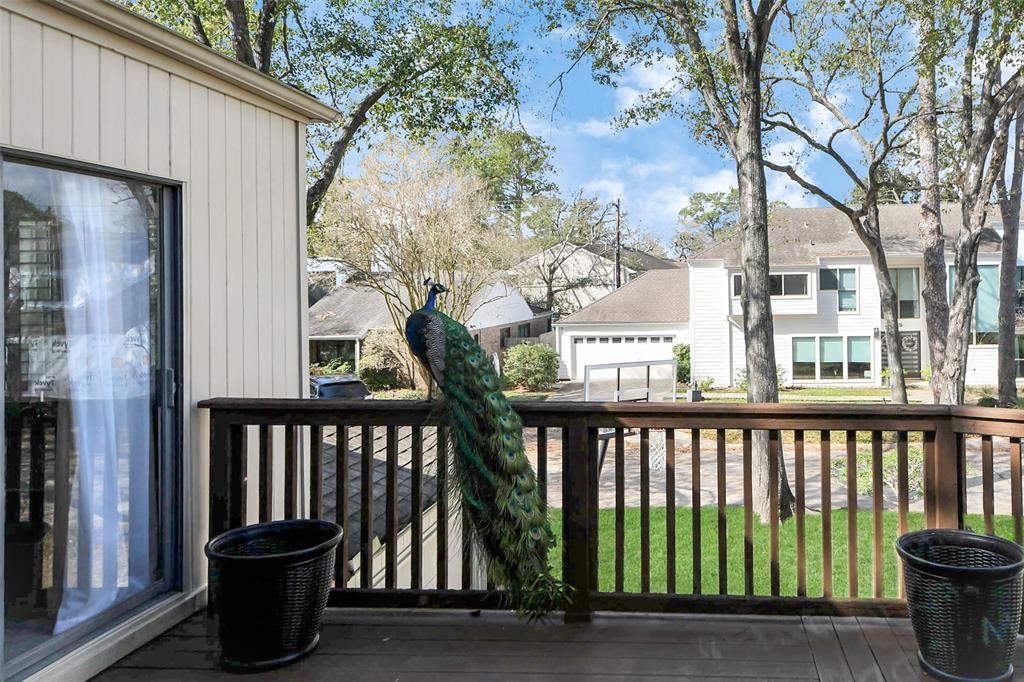 525 Rancho Bauer Drive, Houston, Texas image 39