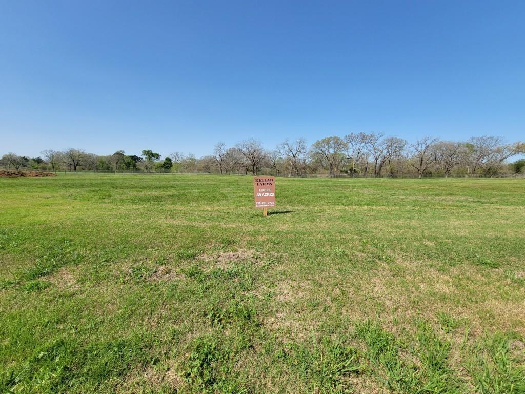 Lot 25 Hydrangea Drive, Smithville, Texas image 1