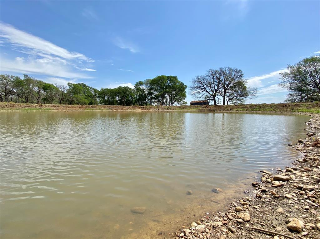 1365 Fm 2104, Smithville, Texas image 9