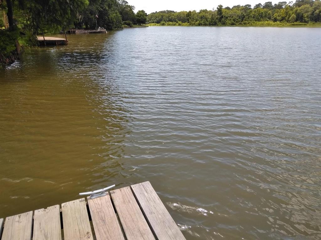 21707 Lake Point Drive, Houston, Texas image 6