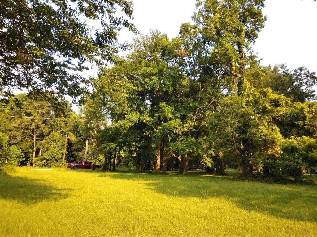 21707 Lake Point Drive, Houston, Texas image 4