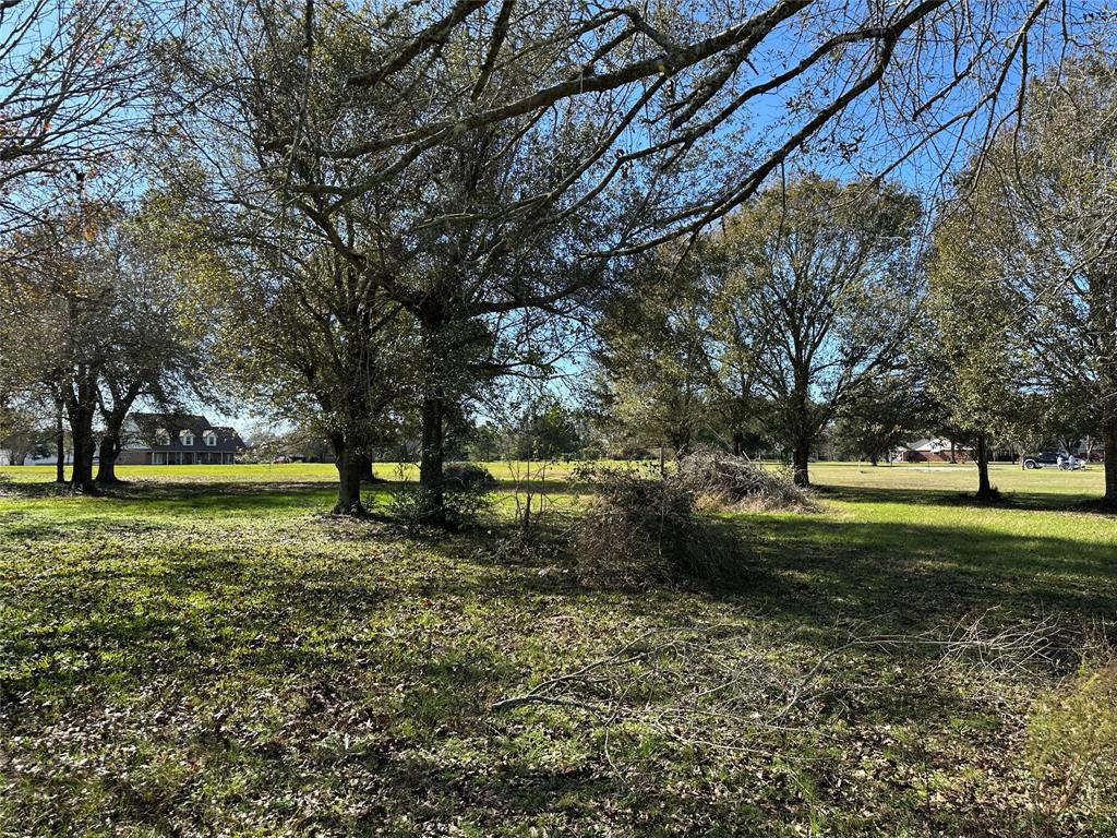 LOT 12 White Wing Drive, Waller, Texas image 3