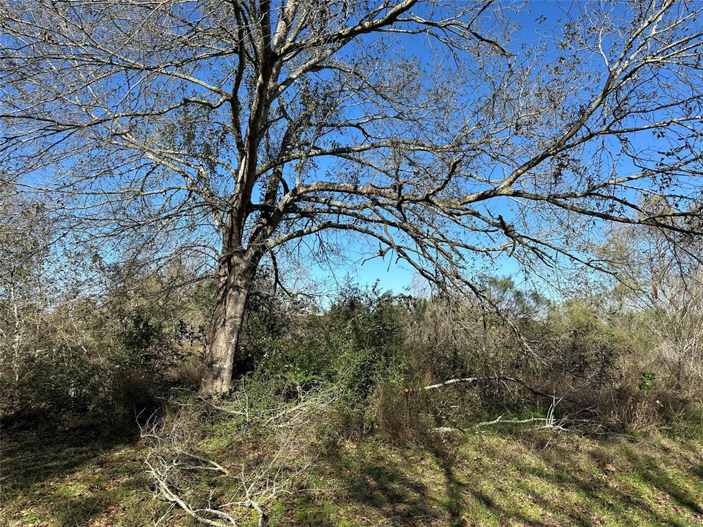 LOT 12 White Wing Drive, Waller, Texas image 4