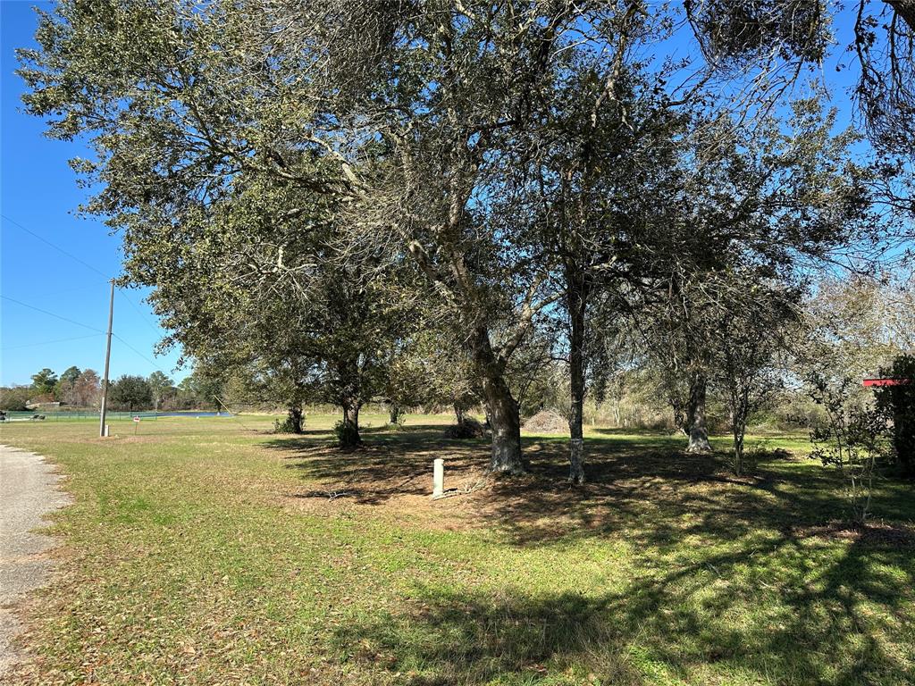 LOT 12 White Wing Drive, Waller, Texas image 5