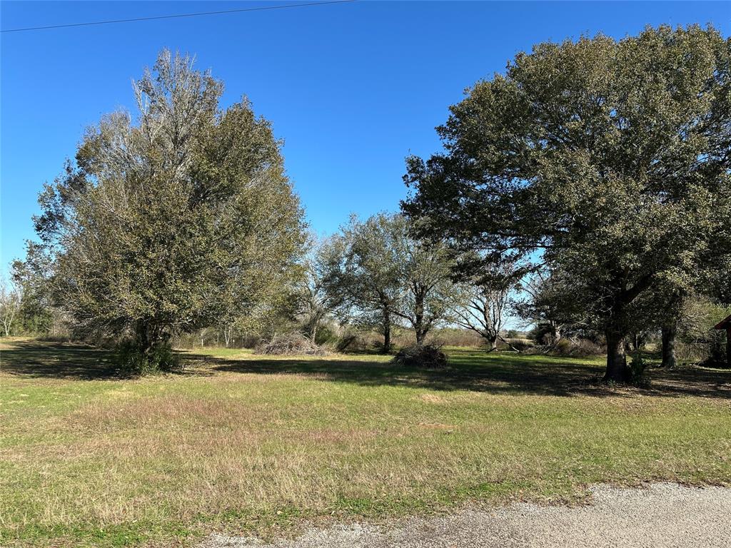 LOT 12 White Wing Drive, Waller, Texas image 2