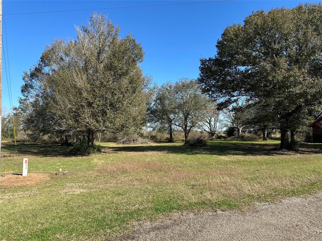 LOT 12 White Wing Drive, Waller, Texas image 1