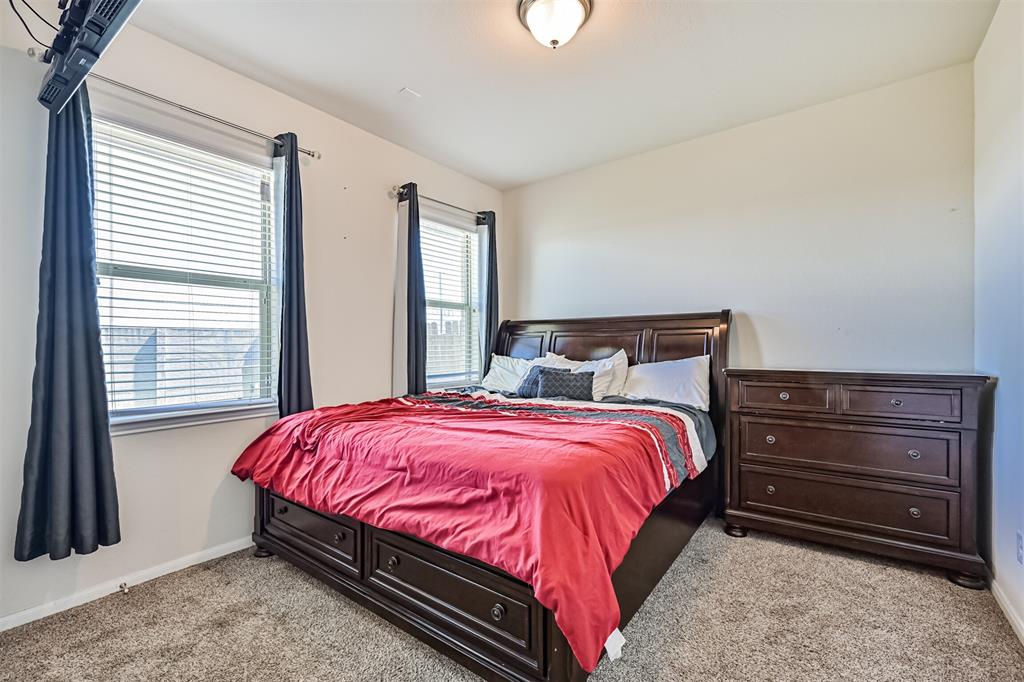 1629 Canchola Lane, League City, Texas image 19