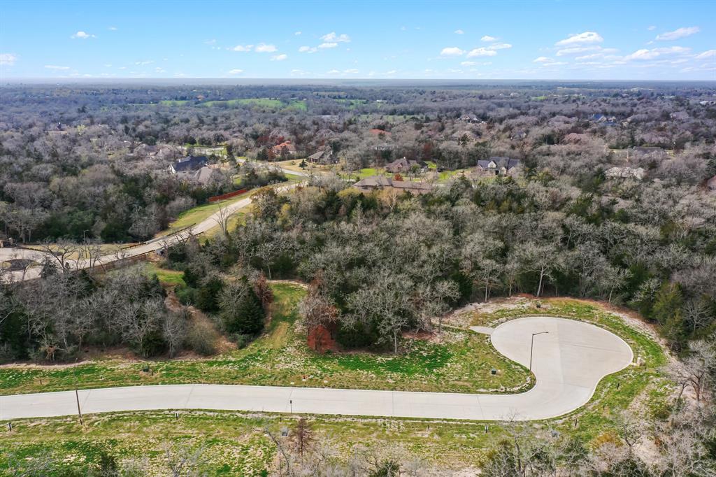 1714 Hidalgo Pass Court, College Station, Texas image 9