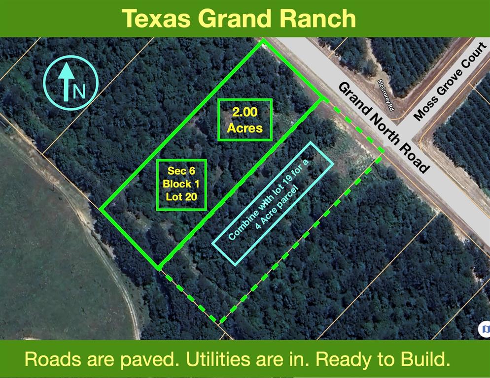 11676 Grand North Road, Willis, Texas image 1