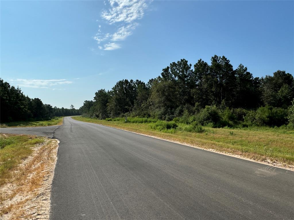 11676 Grand North Road, Willis, Texas image 8