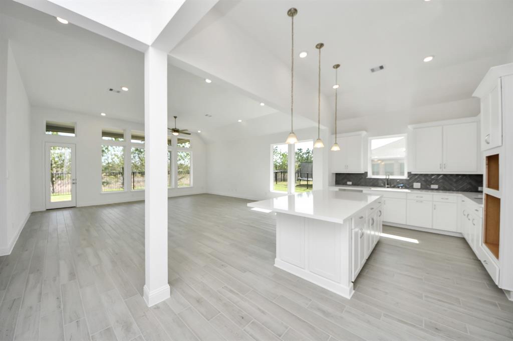 21902 Soldier Butterfly Court, Cypress, Texas image 19