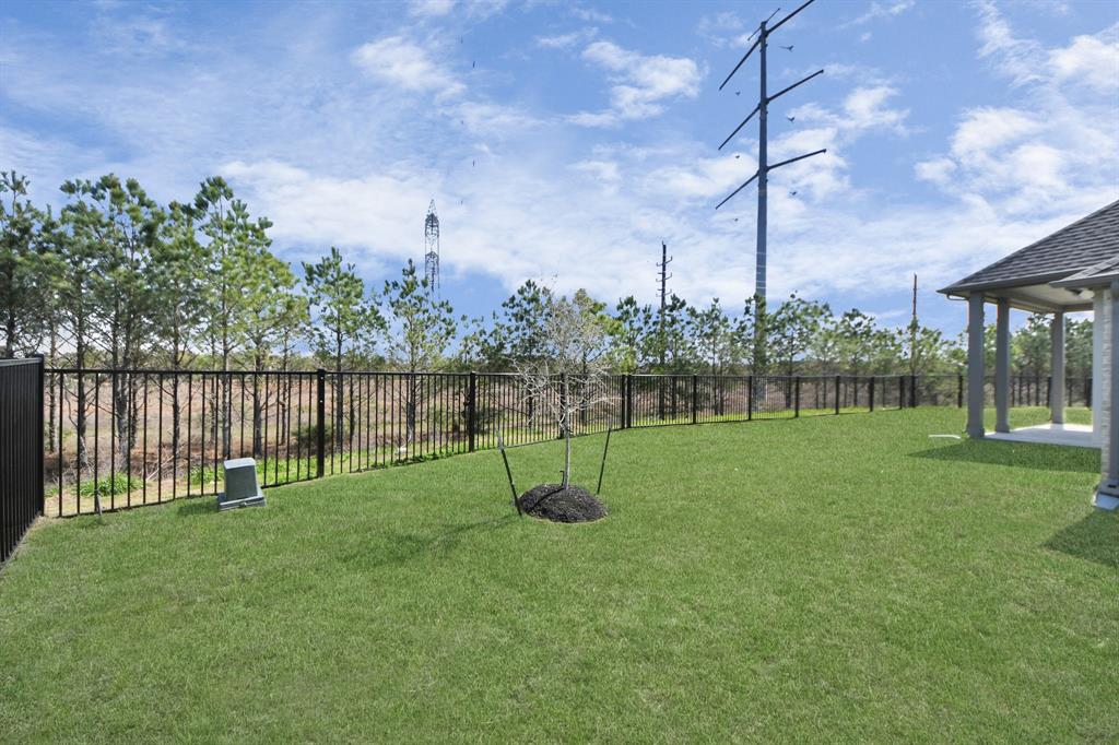 21902 Soldier Butterfly Court, Cypress, Texas image 7